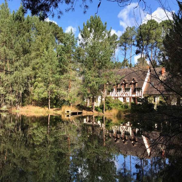 Offres de vente Propriete Villeny 41220