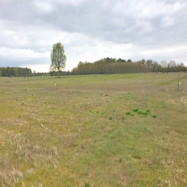 Offres de vente Terrain Fresnes 41700