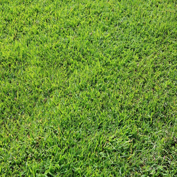 Offres de vente Terrain Cheverny 41700